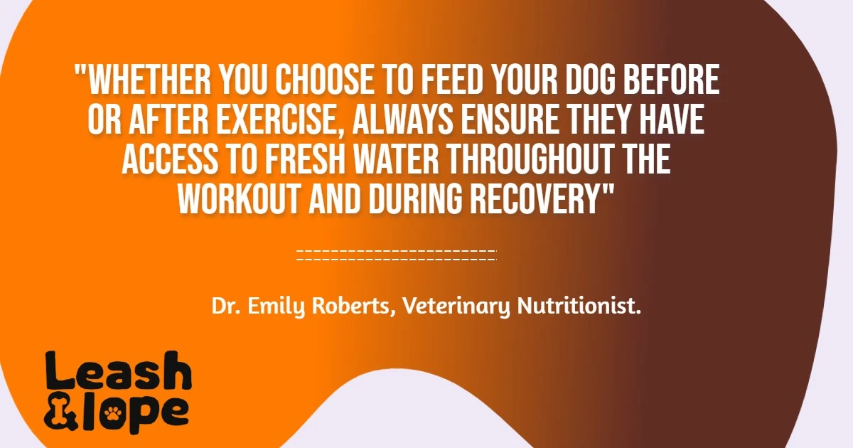 Is It Better to Feed a Dog Before or After Exercise Quotes