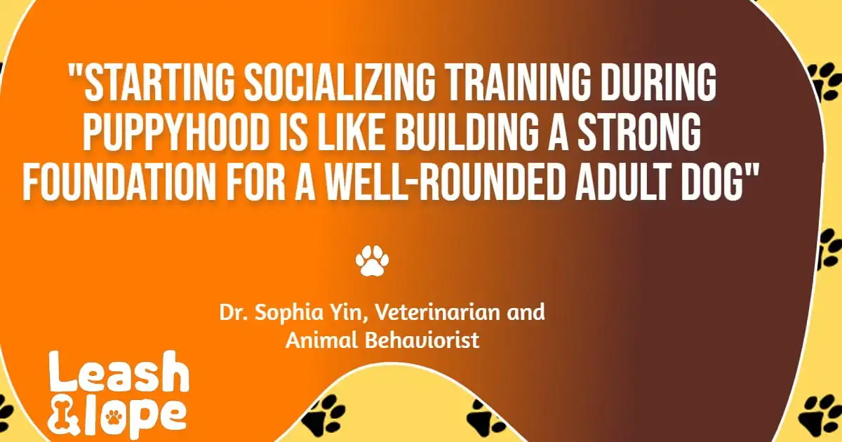Benefits of Starting the Socializing Training in Puppyhood