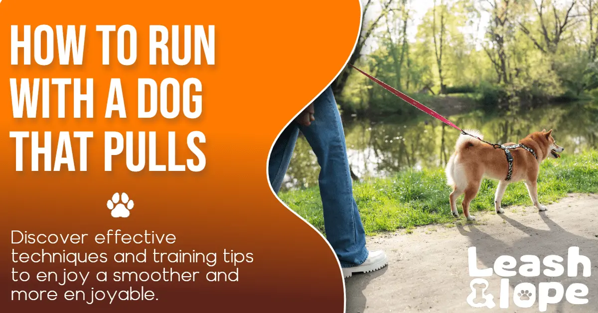 How to Run with a Dog that Pulls