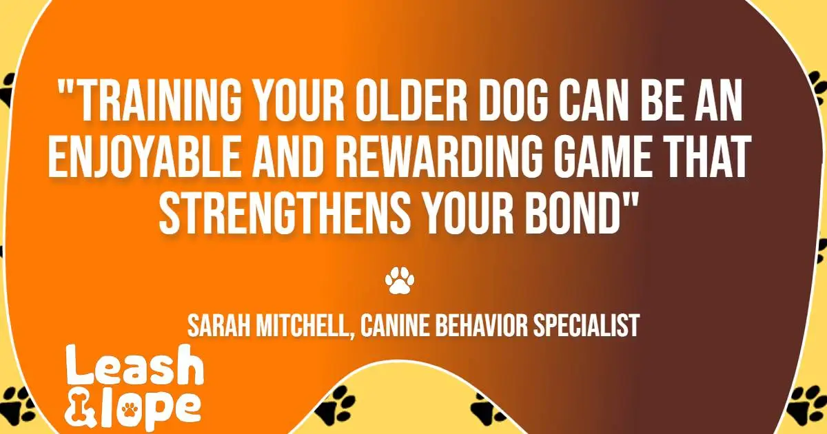 Benefits of leash train an older dog | Leash & Lope