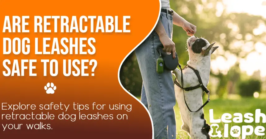Are Retractable Dog Leashes Safe to Use