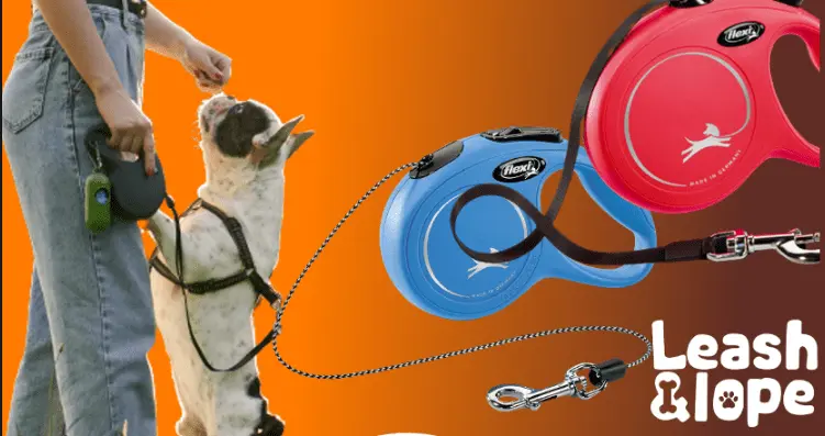 What are Retractable Dog Leashes