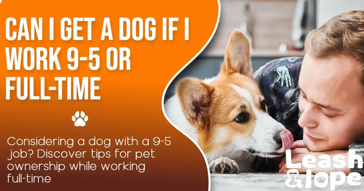 Can I Get a Dog If I Work 9-5 Or Full-Time